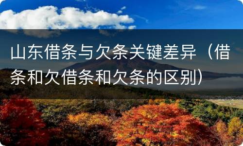 山东借条与欠条关键差异（借条和欠借条和欠条的区别）
