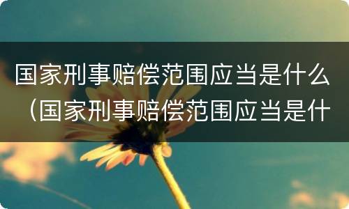 国家刑事赔偿范围应当是什么（国家刑事赔偿范围应当是什么规定）