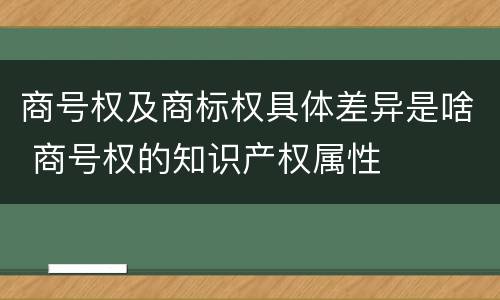 商号权及商标权具体差异是啥 商号权的知识产权属性