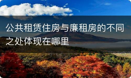 公共租赁住房与廉租房的不同之处体现在哪里