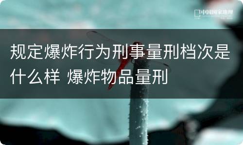 规定爆炸行为刑事量刑档次是什么样 爆炸物品量刑