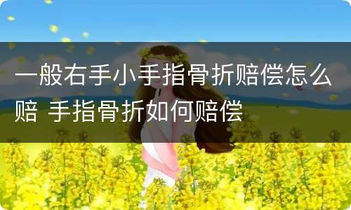 一般右手小手指骨折赔偿怎么赔 手指骨折如何赔偿