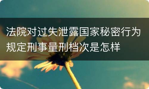 法院对过失泄露国家秘密行为规定刑事量刑档次是怎样