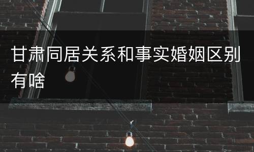 甘肃同居关系和事实婚姻区别有啥