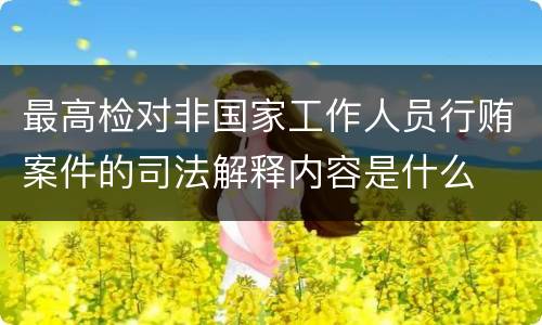 最高检对非国家工作人员行贿案件的司法解释内容是什么