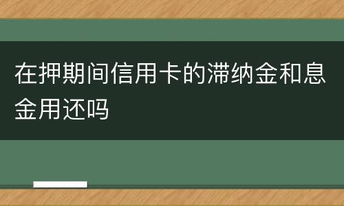 在押期间信用卡的滞纳金和息金用还吗