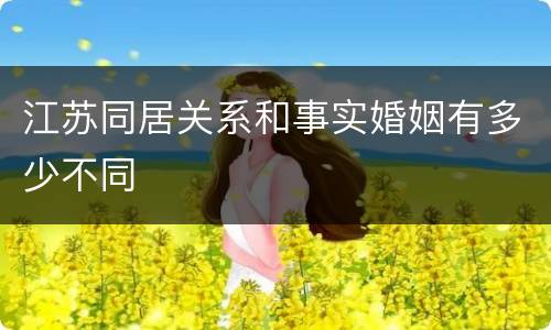 江苏同居关系和事实婚姻有多少不同