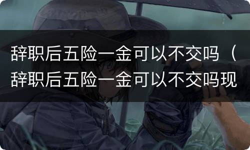 辞职后五险一金可以不交吗（辞职后五险一金可以不交吗现在）