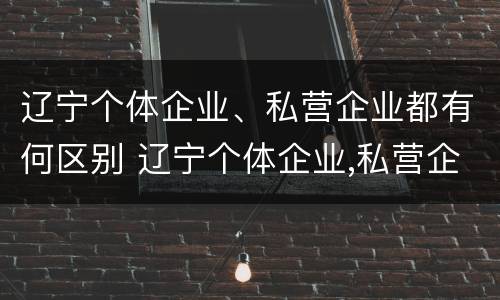 辽宁个体企业、私营企业都有何区别 辽宁个体企业,私营企业都有何区别和联系