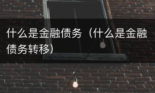 什么是金融债务（什么是金融债务转移）
