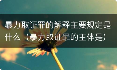 暴力取证罪的解释主要规定是什么（暴力取证罪的主体是）