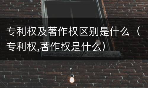 专利权及著作权区别是什么（专利权,著作权是什么）