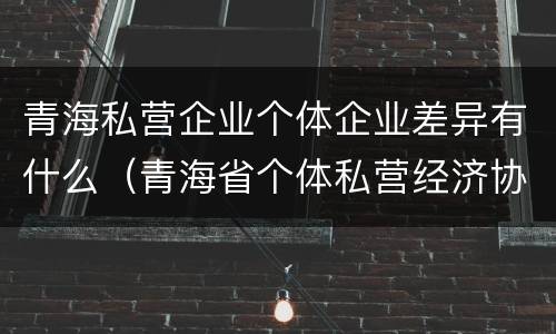 青海私营企业个体企业差异有什么（青海省个体私营经济协会）