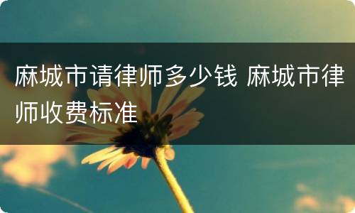 麻城市请律师多少钱 麻城市律师收费标准