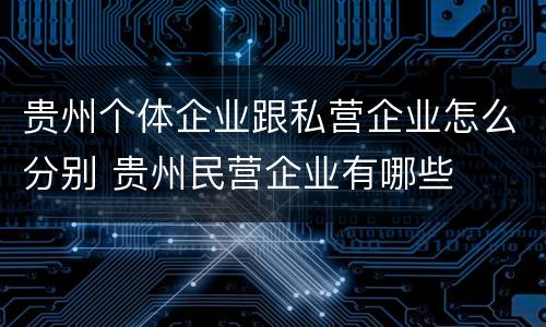 贵州个体企业跟私营企业怎么分别 贵州民营企业有哪些