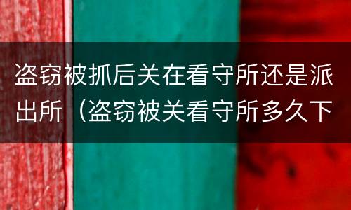 盗窃被抓后关在看守所还是派出所（盗窃被关看守所多久下批捕）
