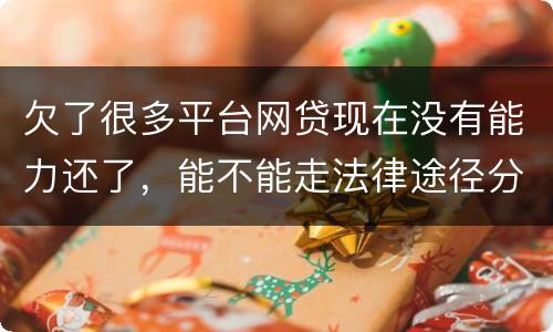 欠了很多平台网贷现在没有能力还了，能不能走法律途径分期
