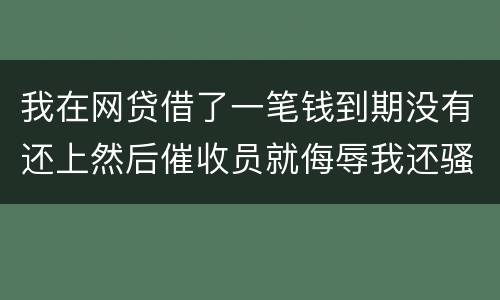 我在网贷借了一笔钱到期没有还上然后催收员就侮辱我还骚扰我朋友圈