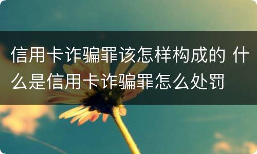 信用卡诈骗罪该怎样构成的 什么是信用卡诈骗罪怎么处罚