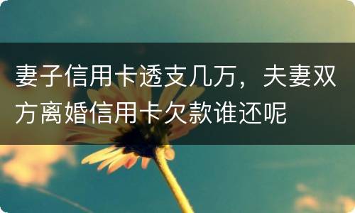 妻子信用卡透支几万，夫妻双方离婚信用卡欠款谁还呢