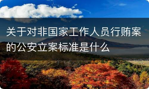 关于对非国家工作人员行贿案的公安立案标准是什么