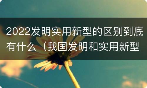 2022发明实用新型的区别到底有什么（我国发明和实用新型的标准）