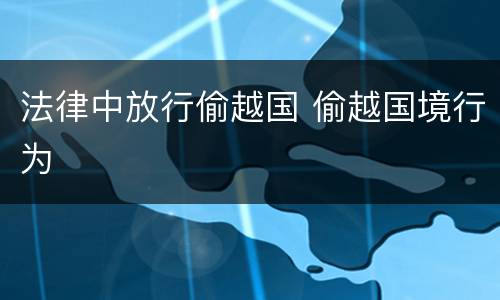 法律中放行偷越国 偷越国境行为