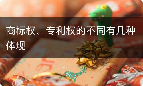 商标权、专利权的不同有几种体现