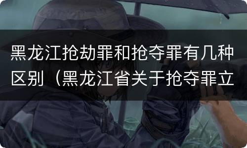黑龙江抢劫罪和抢夺罪有几种区别（黑龙江省关于抢夺罪立案标准）