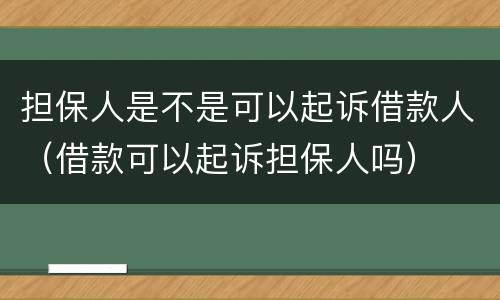 担保人是不是可以起诉借款人（借款可以起诉担保人吗）