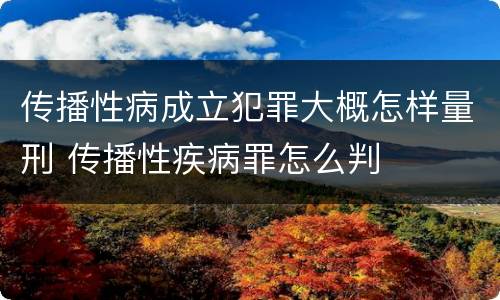 传播性病成立犯罪大概怎样量刑 传播性疾病罪怎么判