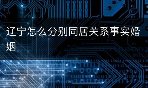 辽宁怎么分别同居关系事实婚姻