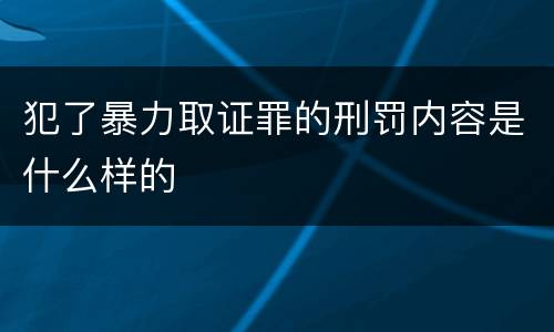 犯了暴力取证罪的刑罚内容是什么样的
