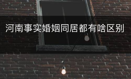 河南事实婚姻同居都有啥区别