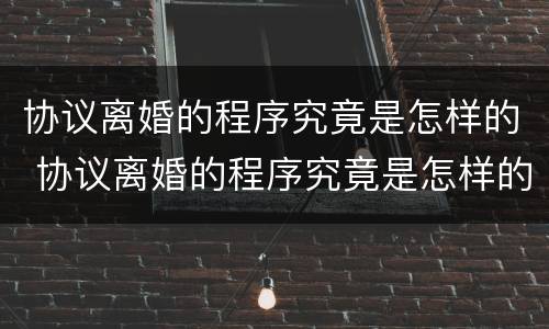 协议离婚的程序究竟是怎样的 协议离婚的程序究竟是怎样的呀
