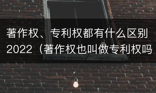 著作权、专利权都有什么区别2022（著作权也叫做专利权吗）