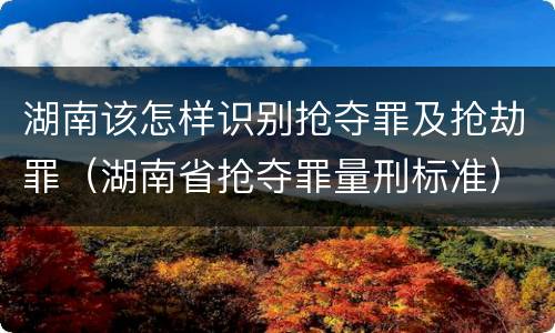湖南该怎样识别抢夺罪及抢劫罪（湖南省抢夺罪量刑标准）