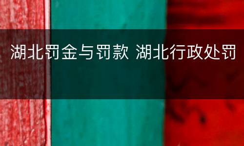 湖北罚金与罚款 湖北行政处罚