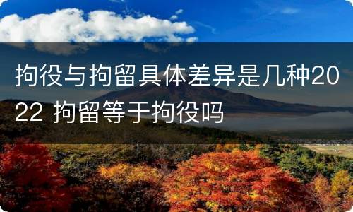 拘役与拘留具体差异是几种2022 拘留等于拘役吗