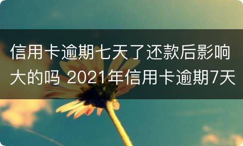 信用卡逾期七天了还款后影响大的吗 2021年信用卡逾期7天