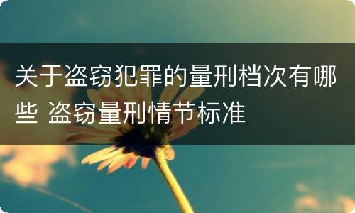 关于盗窃犯罪的量刑档次有哪些 盗窃量刑情节标准