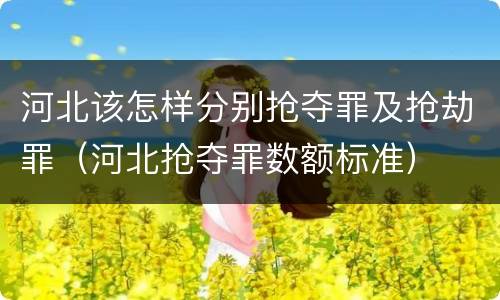 河北该怎样分别抢夺罪及抢劫罪（河北抢夺罪数额标准）