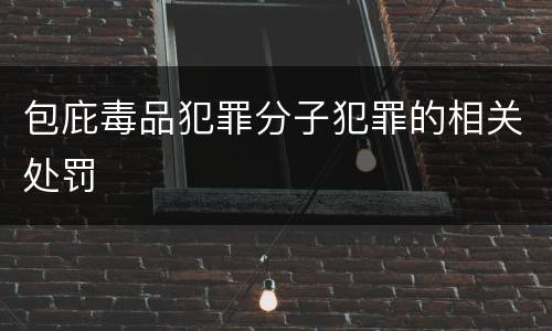 包庇毒品犯罪分子犯罪的相关处罚