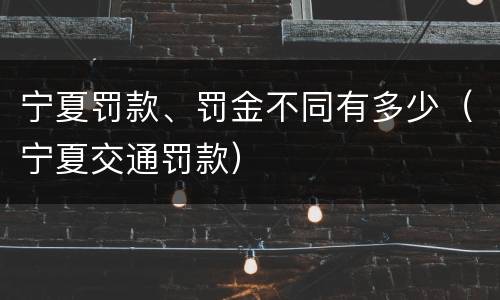 宁夏罚款、罚金不同有多少（宁夏交通罚款）