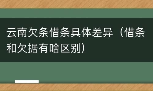 云南欠条借条具体差异（借条和欠据有啥区别）