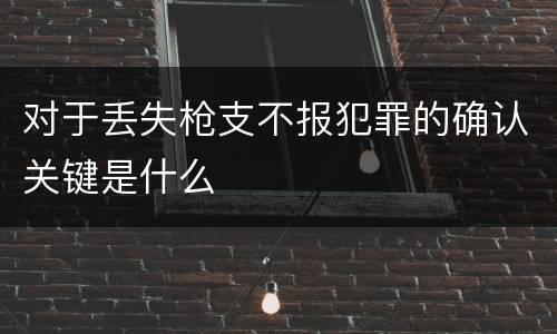 对于丢失枪支不报犯罪的确认关键是什么