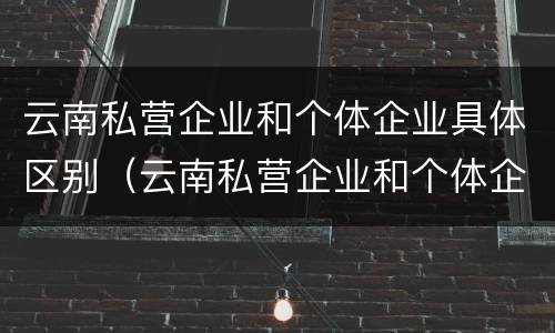 云南私营企业和个体企业具体区别（云南私营企业和个体企业具体区别在哪）