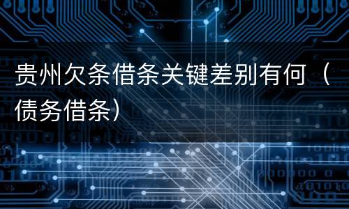 贵州欠条借条关键差别有何（债务借条）