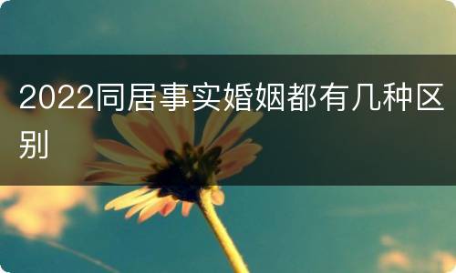2022同居事实婚姻都有几种区别
