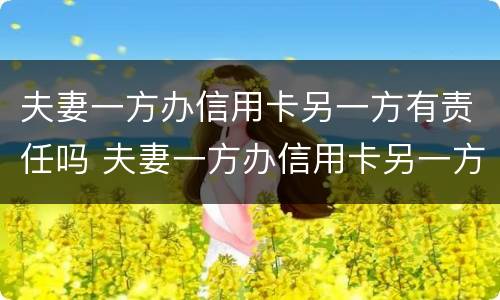 夫妻一方办信用卡另一方有责任吗 夫妻一方办信用卡另一方有责任吗